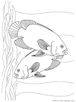 Aquarium Fish Oscars Printable Kids Coloring Sheet