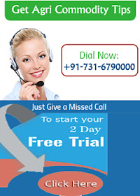 Agri commodity Calls, Agri commodity Tips, Free  Commodity Tips, Free Agri Tips, Mcx Tips Services, Jeera Tips, Mcx mentha oil tips