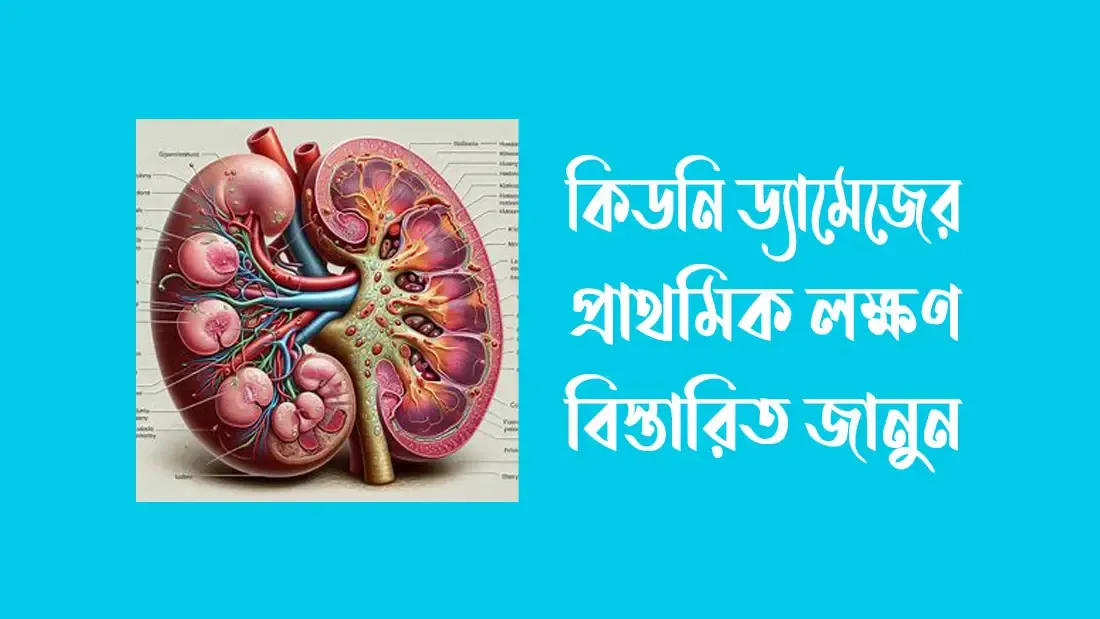 কিডনি ড্যামেজের প্রাথমিক লক্ষণ বিস্তারিত জানুন