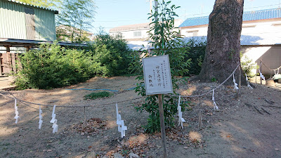 伴林氏神社(藤井寺市)