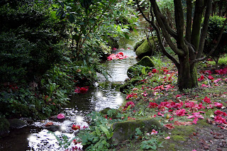 Ruta de la Camelia en Galicia