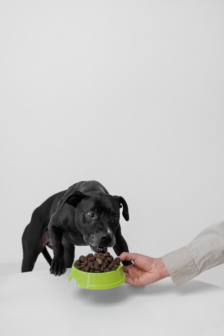 Communication Connection      Understanding your dog's body language and vocal cues is essential for fostering a deep connection. Learn the subtleties of canine communication to strengthen your bond and address your dog's needs more effectively.