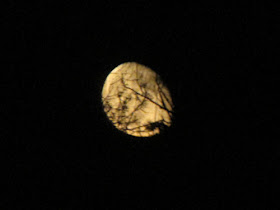 gibbous moon