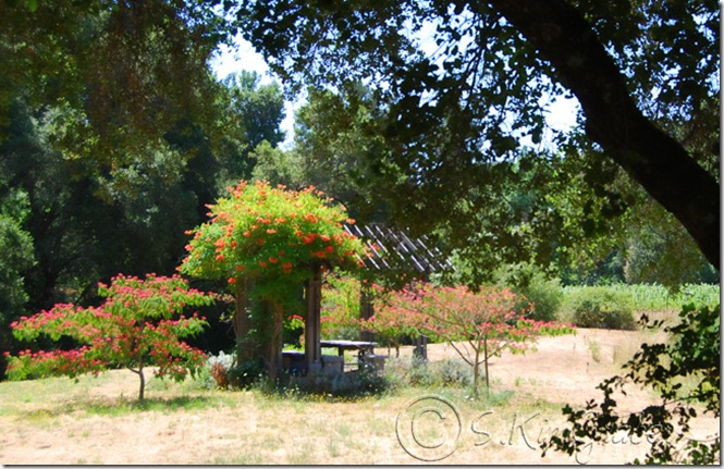 napastorybookpicnic