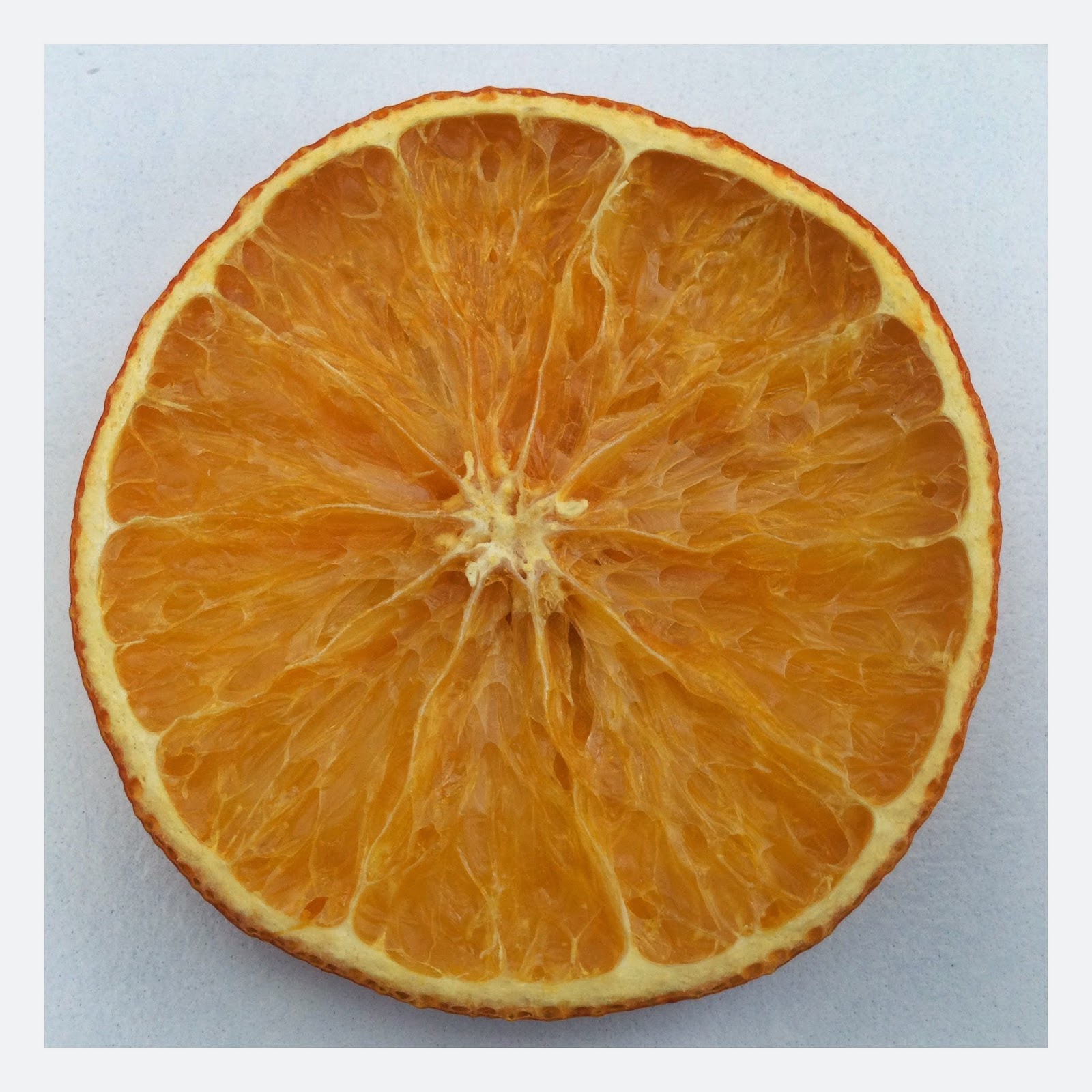 How to make dried orange slices  THE CRAFTY CO