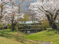 春の小川の平安郷～♪♪