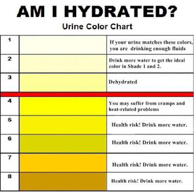 What the color of your urine tells you 