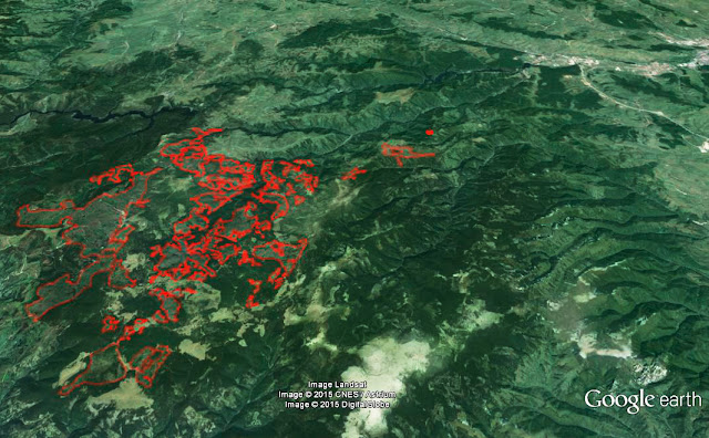 despădurire defrișare Apuseni Măguri Răcătău Carpați Cluj România Romania Carpathians logging deforestation Google Earth satelite image 3D