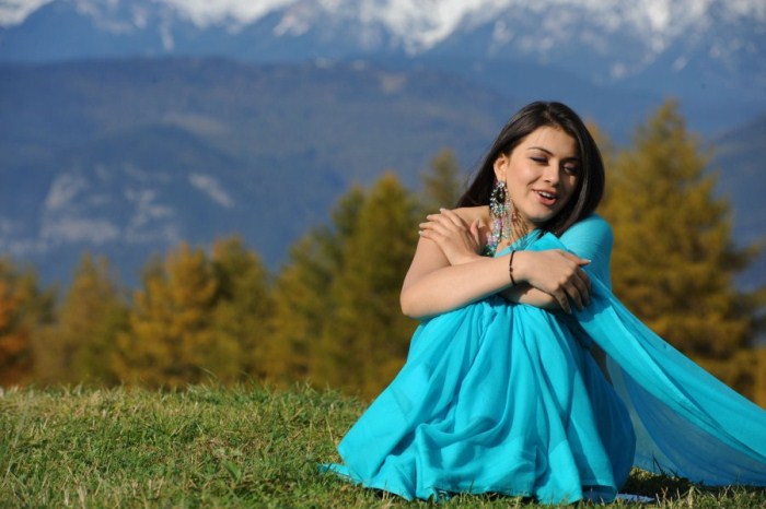 hansika motwani saree