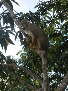 IMG_7828-001
