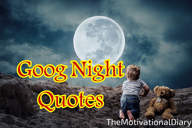 Good night quotes in English with images