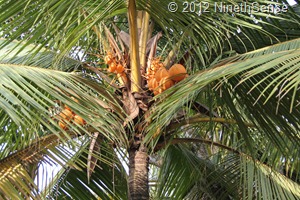 IMG_1769