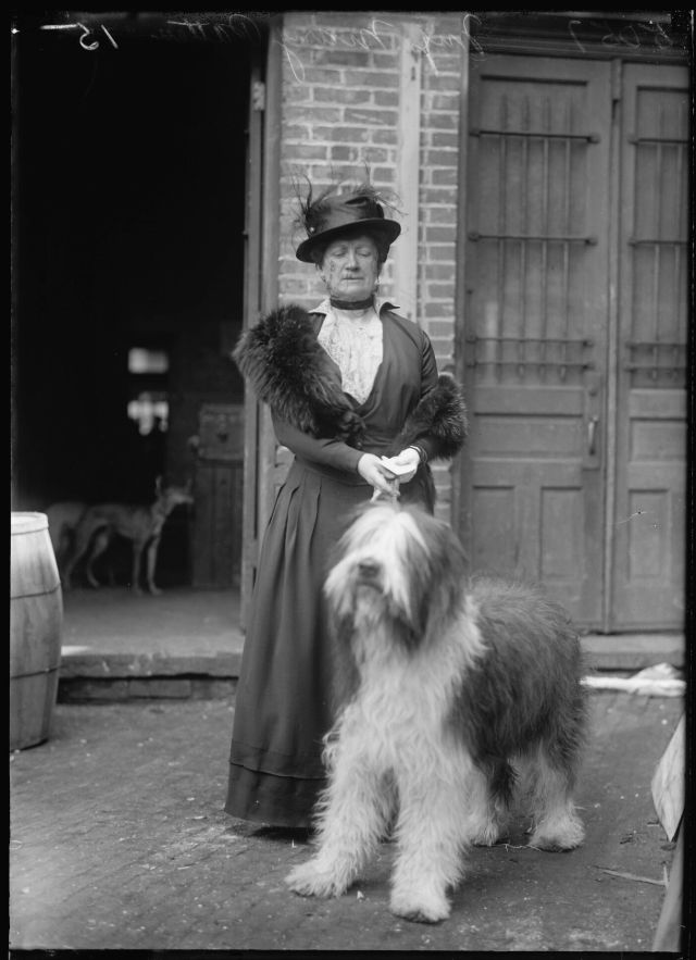 20 Lovely Photos of People With Their Dogs During the 1915 Dog Show ...