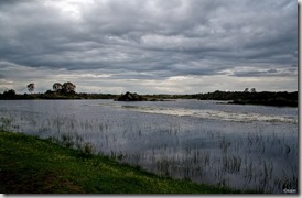 IMG_9692a2[2]