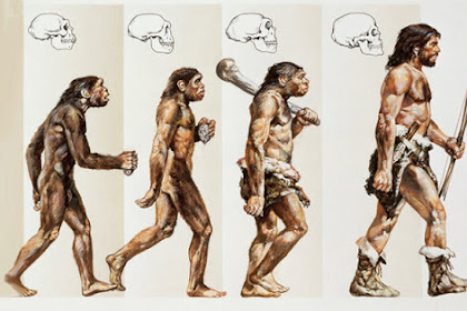 PDF Sejarah Perkembangan Teori Evolusi Makhluk Hidup