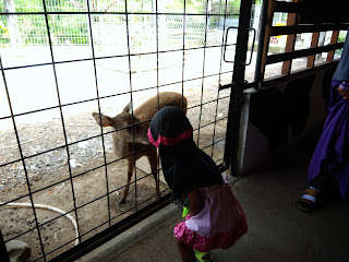 Cimory On The Valley, Tempat Wisata Yang Tepat Untuk Liburan Keluarga