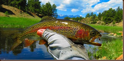 Westcliffe12-12 Jun 2016
