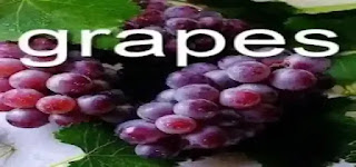 Benefits of grapes. Grape Fruits