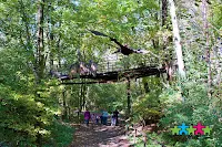 Największy park tematyczny o dinozaurach w Czechach, czyli Dinopark Ostrava