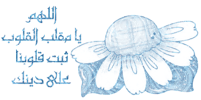 135133