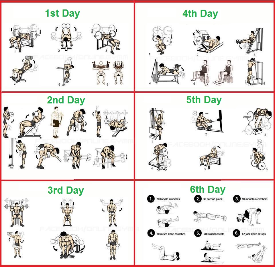 The Perfect 6 Day Beginner's Bodybuilding Program - Bodydulding