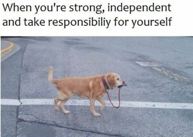 When you're strong, independent and take responsibility for yourself