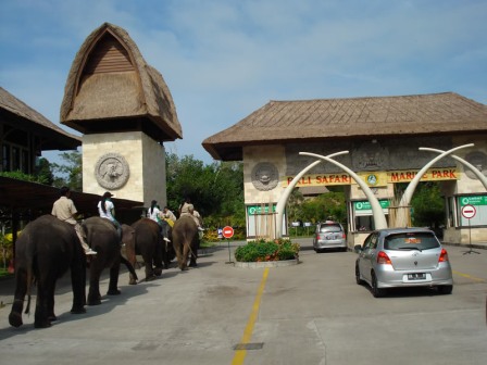 wisata bali Taman Safari Marine Park