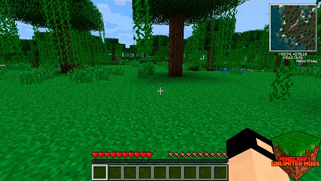 Descargar Reiâ€™s Minimap Mod 1.6.2 y 1. 6.4 ~ Minecraft Unlimited ...