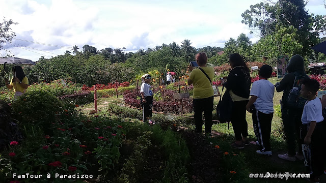 PARADIZOO, Mendez Cavite