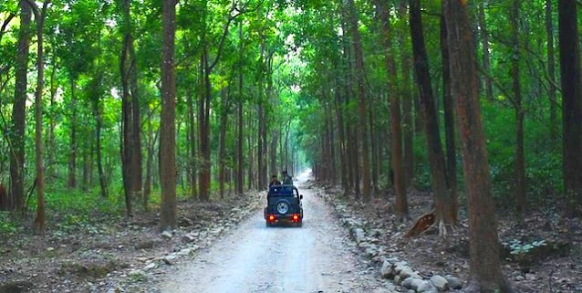 Jim Corbett National Park story