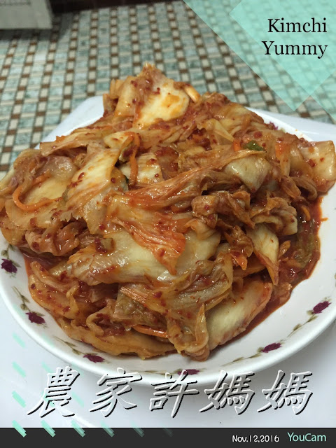 簡單韓式泡菜料理