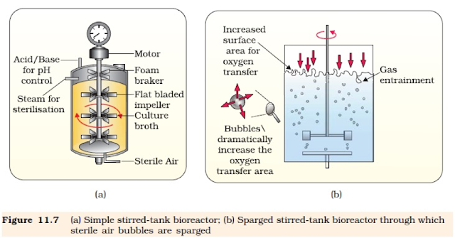 bioreactor,membrane bioreactor,bioreactor definition,stirred tank bioreactor,algae bioreactor,bioreactor design,what is bioreactor,bioreactor diagram,cell culture bioreactor,bioreactors & downstream processing,3d bioreactor,bioreactor pdf,bioreactor ftb,bioreactor ppt,cell bioreactor,bioreactor fuel,nasa bioreactor,pilot bioreactor,fungi bioreactor,tower bioreactor,bioreactor types,yeast bioreactor,space bioreactor,enzyme bioreactor