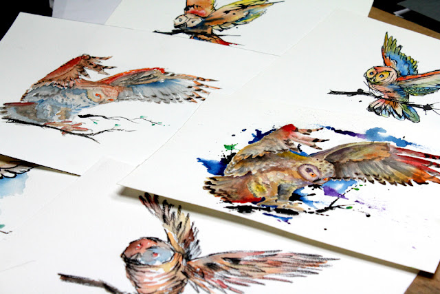 owl watercolors - sebastian orth