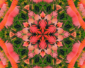 Kaleidoscope Photo Art fall sumac by Jeanne Selep