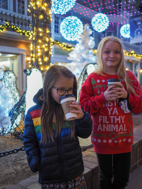 Luminova Holidays at Elitch Gardens