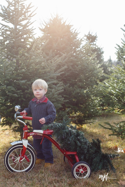 MJD Photography, Martha Duffy, Kimball Brook Farm, Hancock, NH, New Hampshire, Christmas, Family, Documentary and Lifestyle Photographer