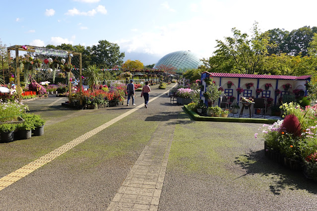 鳥取県西伯郡南部町鶴田　とっとり花回廊　エントランス展示