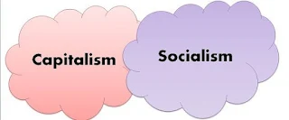 Distinguish between capitalist economy and socialist economy?