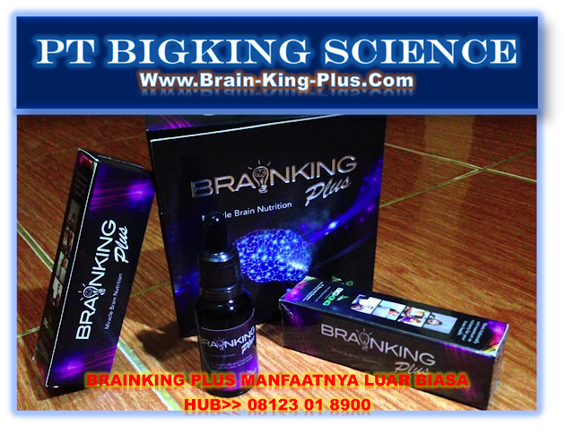 Brainking Plus 08123 01 8900