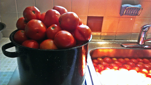 Putting up tomatoes