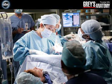 #5 Grey Anatomy Wallpaper