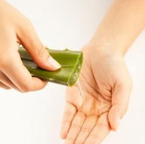 Advantages of Aloe Vera: One herb has many Cures