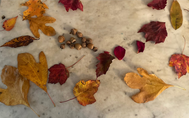 leaves and acorns on a marble counter