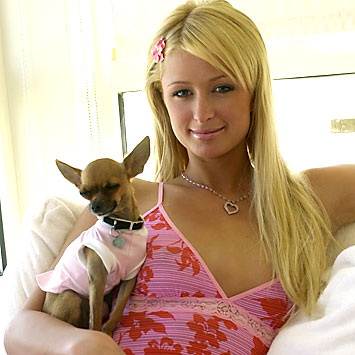 paris hilton hot photos