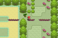 Pokemon Zoala screenshot 07