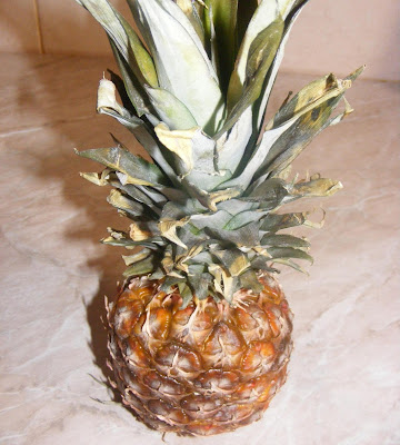 ananas, ananasul, fruct ananas, fructul ananas, ananas comosus, ananas copt, ananas bun, retete cu ananas, preparate din ananas, prorietatile ananasului, 