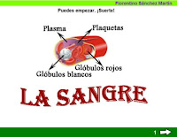 http://cplosangeles.juntaextremadura.net/web/edilim/tercer_ciclo/cmedio/las_funciones_vitales/la_funcion_de_nutricion/circulacion/la_sangre/la_sangre.html