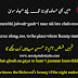 Top Sufi Kalam Urdu And English Translation
