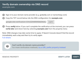 Verify domain ownership via DNS record 