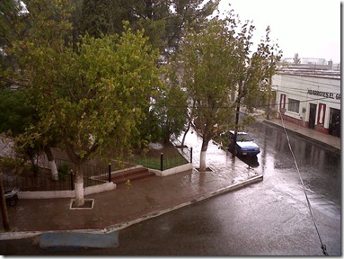 IMG00907-20110701-1404
